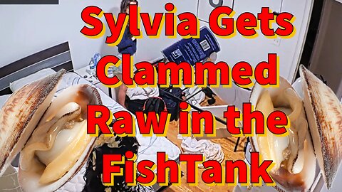 Sylvia Gets Clammed Raw in the FishTank