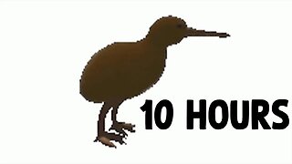Kiwi Bird Spinning [10 HOURS]
