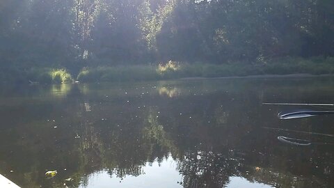 Nehalem River Oregon