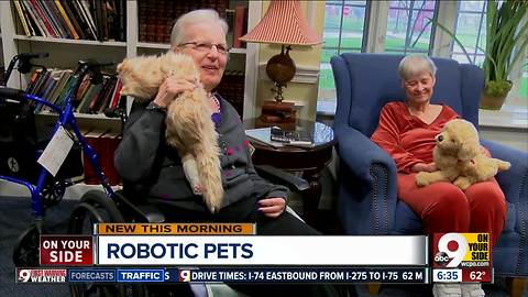 Robotic pets help keep retirement home residents company