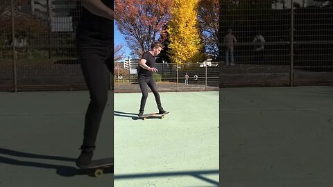 Freestyle Skateboard Trick: Fakie M80