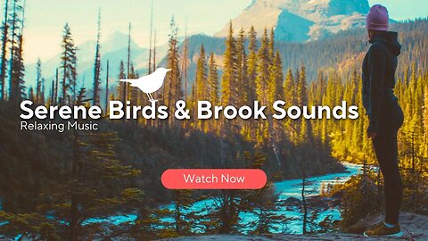 Melodiescapes: relaxing 🧘‍♀️ music and birds 🐦 sounds for serene sleep and relaxation | brook sounds