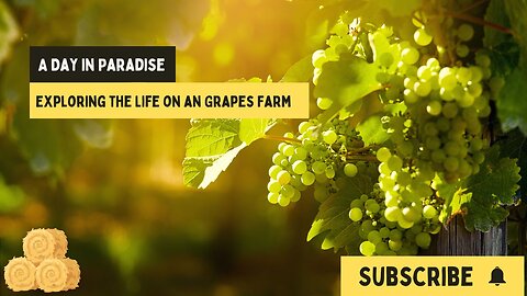 A Day in Paradise: Exploring Life on a Grape Farm | Village Vibes