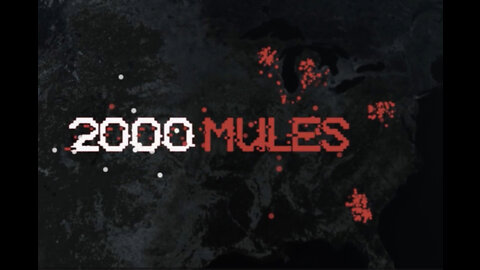 My review of 2000 Mules, compelling evidence on the 2020 election