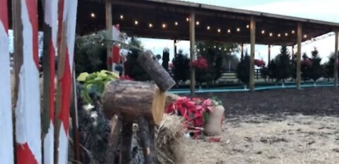 Hobe Sound farmer's market transforms into winter wonderland for families to enjoy