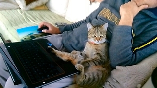 This laptop is mine! and Man too!