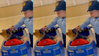 Toddler And His Pomeranian Dress Up As Police Officers