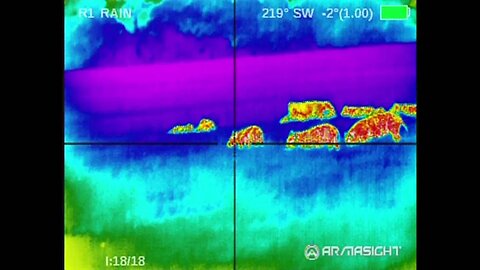 WILD BOAR HUNTING WITH THERMAL GRAPHIC 25 KILLS.