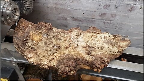 Woodturning - Burly Oak Log