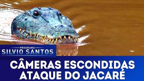 Predadores Assassinos (Gator Prank) - Câmeras Escondidas