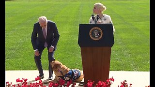 Selma Blair, President Biden and service dog spark laughter on stage