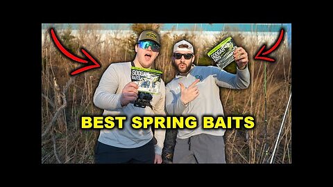 The BEST Baits to Catch BASS in SPRING!!!