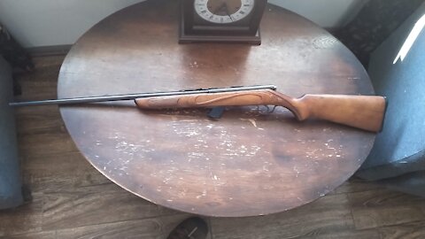 Testing a Stevens 84c