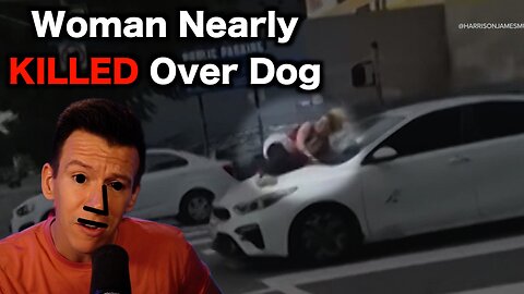 Dog Mom Leaps On Car To Stop Robbers