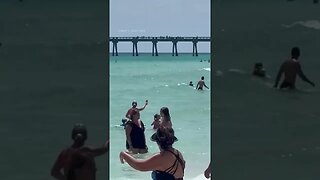 Shark gets dangerously close to people at the beach in Florida 🦈