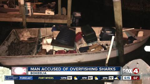 Man arrested in Bokeelia for illegally catching nine sharks