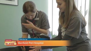 Banfield Pets