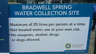 SOUTH AFRICA - Cape Town - Bradwell Spring Opening (Video) (3ai)