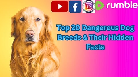 Top 20 Dangerous Dog Breeds & Their Hidden Facts | 20 dangerous dog 🐶