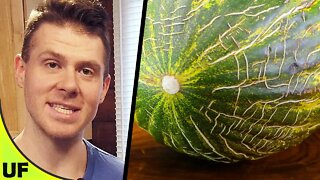 Santa Claus Melon Taste Test | Unusual Foods