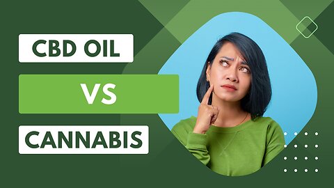 Unraveling the Secrets of CBD Oil! 🚀 Understanding its Dynamic Bond with Cannabis 🌱