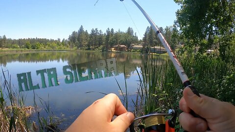 Dinking Around The Golf Course! (Pond GIANT Sighting!)