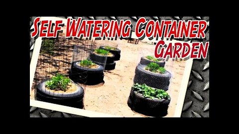 Homemade Self Watering Container with Tire(s) - Garden Construction