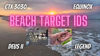 What Are The Common Beach Target IDs For These 4 Metal Detectors? Deus II, Equinox, Legend, CTX 3030