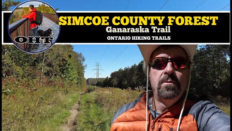 In The Simcoe County Forest On The Ganaraska Trail