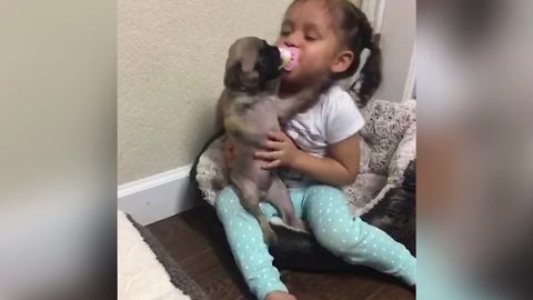 "Cute Puppy Steals A Pacifier"