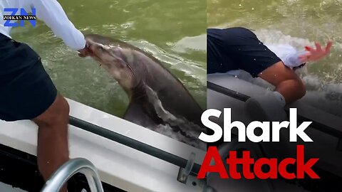 Shark drags man of boat in to the water | Shark Attack |