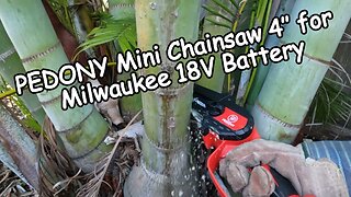 PEDONY Mini Chainsaw 4" for Milwaukee 18V Battery, Unboxing, Tutorial & Review