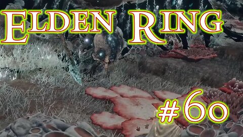 Street of Sages Ruins - Elden Ring: 60