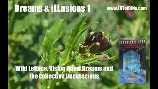 Dreams & iLLusions 1 : Wild Lettuce Dream VISION QUESTS and the Collective Unconscious Treasures!!