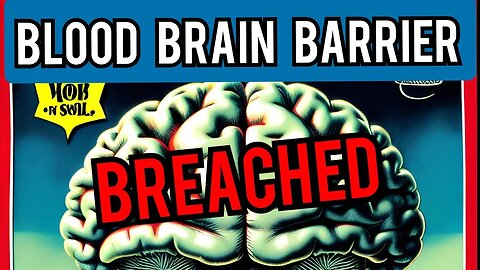 Blood Brain Barrier is being Breached , Why your seeing an uptick in car accidents, Violence