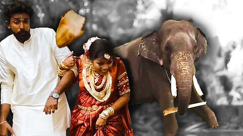 Elephant Ruins Wedding Photoshoot