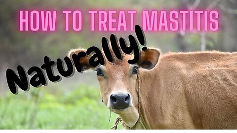 How to treat mastitis naturally