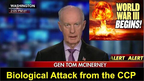 General Thomas Mcinerney announced World War 3 started