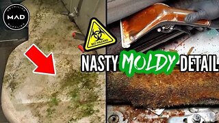Super Cleaning A Nasty MOLD Infested Truck! Insane Deep Car Cleaning Transformation | MAD DETAILING!