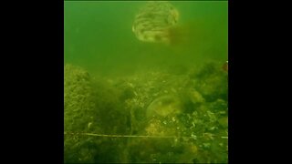 time lapse beneath the pier