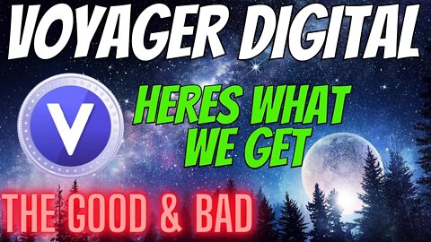 Voyager Digital The Good & Bad - Vgx Token