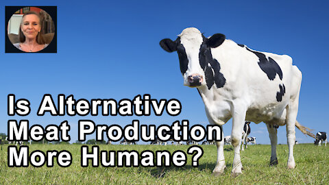 Is Alternative Meat Production More Humane? - Hope Bohanec