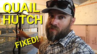Hatching Time 5 Layer Hutch Water Fixed! | How To Sex Your Quail