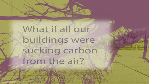 What if all our buildings were sucking carbon from the air?