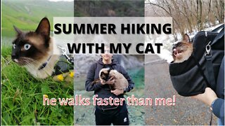 Hiking with my adventure cat, Summer edition.