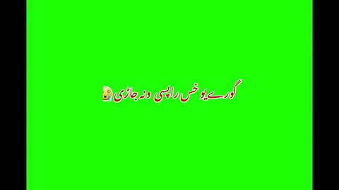 Pashto Green Screen poetry Pashto Shyari #episode1