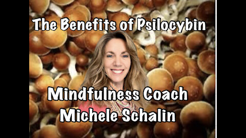 Psychedelics and Health w/Speaker and Mindfulness Coach Michele Schalin