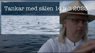 Tankar med sälen 14 juli 2023