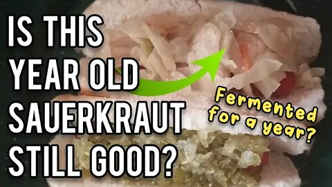 Is This Year Old Sauerkraut Still Good? - Ann's Tiny Life and Homestead