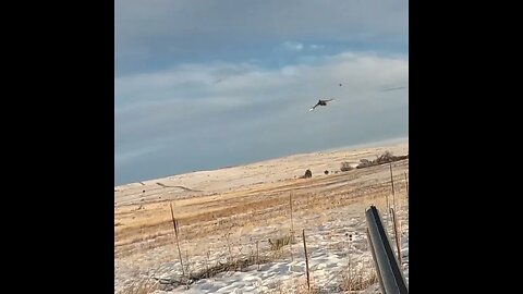 Next Week's Preview Colorado Pheasant Hunt 23i